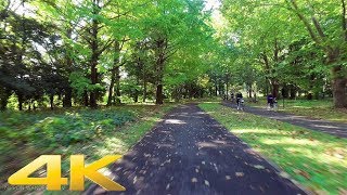 Cycling in Showa Kinen Park, Tokyo - Long Take【東京・昭和記念公園】 4K