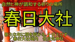 春日大社2025年1月10日エビス