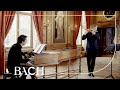 Bach - Flute sonata in A major BWV 1032 - Root and Van Delft | Netherlands Bach Society
