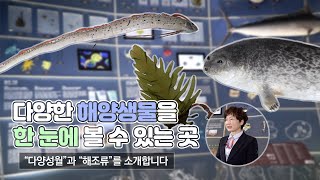 [씨큐리움]온라인 해설 - 씨큐리움에 오신 것을 환영합니다