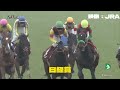 推奨馬⑤頭！【天皇賞春　2024】前走後騎手コメント＋過去レースハイライト