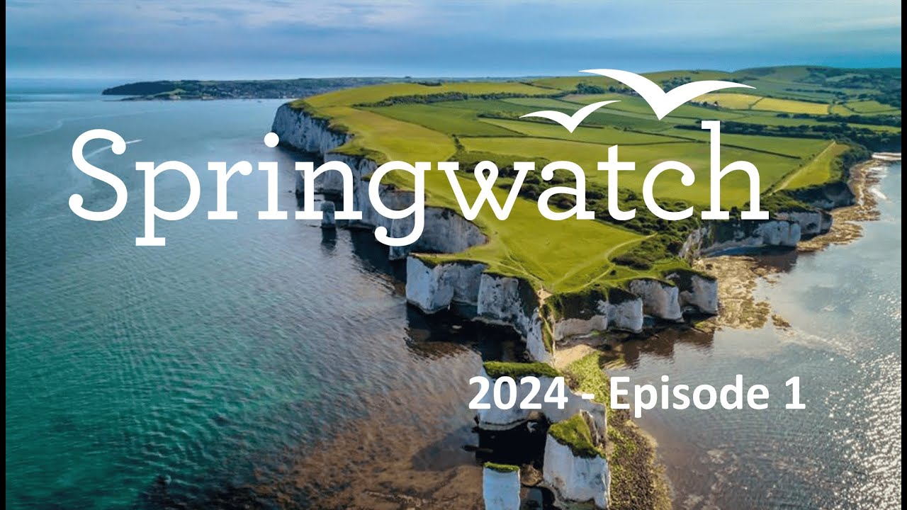 Springwatch 2024 Episode 1 Youtube