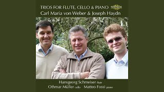 Trio in G Minor, Op. 63: IV. Finale. Allegro