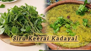 சிறு கீரை கடையல் | Siru Keerai Kadayal Recipe in Tamil | How to Make Siru Keerai Sambar #trending