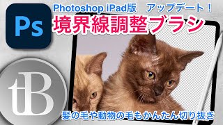 【Photoshop iPad版】境界線調整ブラシの初心者向け解説動画