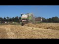 Moisson d'orge 2024 avec la CLAAS LEXION 460