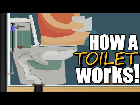 What is the purpose of the toilet?