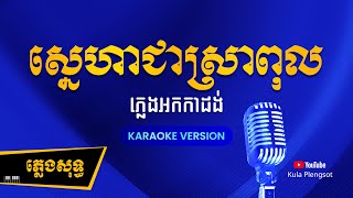 ស្នេហាជាស្រាពុល ភ្លេងសុទ្ធ | Sneha Chea Sra Pul - [By Kula] #KaraokePlengsot