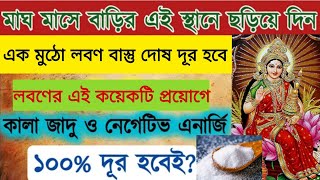 মাঘ মাসে বাড়ির রেস্থানের ছড়িয়ে দিন এক মুঠো লবণ অর্থ আসবে চুম্বকের মতো মা লক্ষ্মী ঘরে স্থিত হবেন