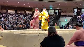 【4K 60fps】大相撲令和三年三月場所七日目　大栄翔対隆の勝　溜席　西側