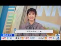 【山岸愛梨】突然スタッフさんが猫になりツボるあいりん【ウェザーニュースlive】