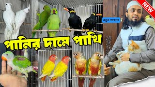 পানির দা'মে পাখি | চন্দনার বাচ্চার দাম কমেছে | ককাটেল, কনুর, লাভবার্ড, ময়না ও টিয়াতে অফা'র 11 Jan 25