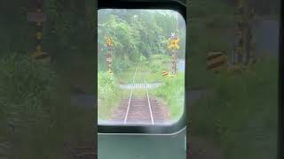 小湊鉄道　養老渓谷〜上総中野駅　先頭車窓