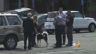 Woman Turns Self In After Dog Bites Victim's Face