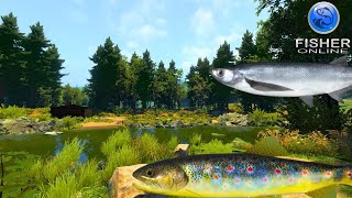 NEW Map - Bulgaria | Sabrefish Fly Fishing Spot | Fisher Online | Ep 87.5