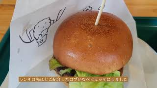 休日のvlog  ～にぎわいの森～