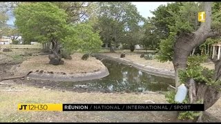 Saint-Denis : transformation de l'ancien zoo du Chaudron en jardins familiaux