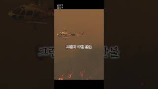 작은 생명에게도 닥친 불행...방화범 소행? #shorts / 연합뉴스TV (YonhapnewsTV)