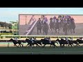 【競馬現地映像】ダノンデサイル快勝‼️ajccの現地映像！レーベンスティールは12着。。