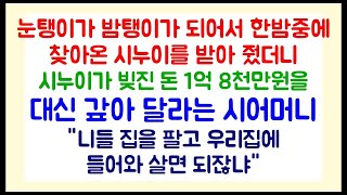 이혼썰 시누이가 빚진 돈 1억 8천만원을 내집을 팔아서 대신 갚아 달라는 시어머니   라디오드라마