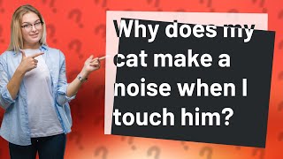 Why does my cat make a noise when I touch him?