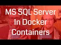MS-SQL Server in a Container, What!? DevOps and Docker Live Show (Ep 79)