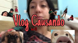 VLOG CAUSANDO COM O MIGOS - Lari Silva #LariTodoDia #Vlog10