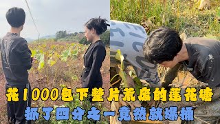 花1000元包下整片荒废的莲花塘，抓了四分之一竟然就爆桶！#户外抓鱼 #户外捕鱼 #乡村小罗 #乡村生活 #农村生活