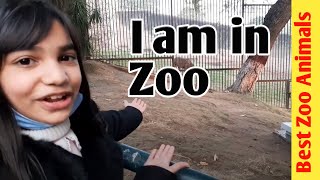 Trip to Zoo with my Family | Visit to Zoo in Pakistan | Best Zoo Animals in Pakistan | Wisha Fatima