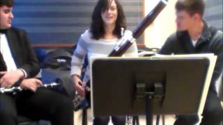 TSYO Teaches Rachel...Clarinet, Bassoon, and Contrabassoon!