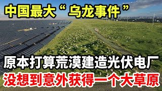 中国最大“乌龙事件”！原本打算荒漠建造光伏电厂，没想到意外收获一个大草原！