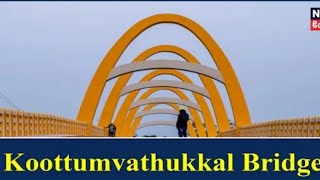 Must Watch Bridge In Kayamkulam - കൂട്ടും വാതുക്കൽ പാലം പുതുപ്പള്ളി -ഒരു കിടിലൻ രാത്രി കാഴ്ച -