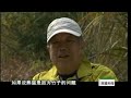 第1集：秦岭野生大熊猫纪录片 爱护大自然保护野生动物