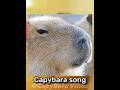 Capybara song