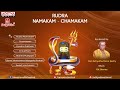 Rudra Namakam Chamakam by Y N  Sharma   YouTube