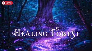 Healing Forest Ambience || 285Hz + 528Hz + 852Hz || Soothes Emotions, Heals Cells, Heart \u0026 Soul 🌿