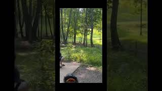 TERRIBLE pterodactyl claw trick shot disc golf chain out