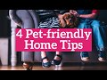 4 Pet Friendly Home Tips