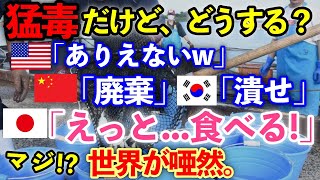 「この国は何なんだ！？」食に対する日本人のこだわりに外国人が唖然...ネット民「見ろよ、あれが日本人だぞ」