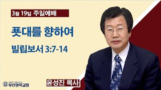 부산영락교회_20230319_주일설교_푯대를 향하여_빌립보서 3장7-14절_윤성진목사_라이브