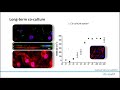 A Breathing Lung-on-chip for Inhalation Toxicity Assessment