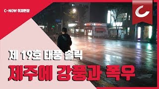 제 19호 태풍 솔릭으로 인해 제주에 강풍과 폭우가 쏟아지고 있다. /  조선일보