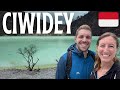 Amazed at CIWIDEY Bandung 🇮🇩 Indonesia Travel Vlog: White Crater, Tea Plantation, Patenggang Lake