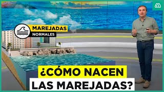 ¿Cuál es el origen de las grandes marejadas?