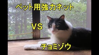 ペット用強力ネットＶＳチョミゾウの網戸の戦い・2017