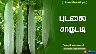 புடலை சாகுபடி  | Successful Farmer Story