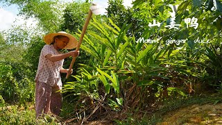 這種山薑很少人見過，不懂的人放野山上，懂的人栽培做調料Chinese food made with wild ginger | 玉林阿婆 美食