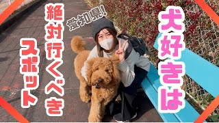 愛知県の天国♡犬好きは絶対行くべきスポット🐕