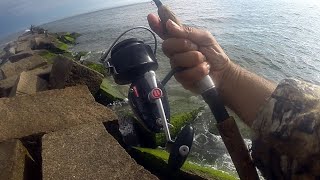 BLUEFISH on the ATOM POPPER - The MITCHELL GARCIA No. 410 - LIGHT SALTWATER SPIN FISHING