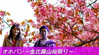 オホーツク情報発信番組【北見・上常呂】〜金比羅山桜祭り〜